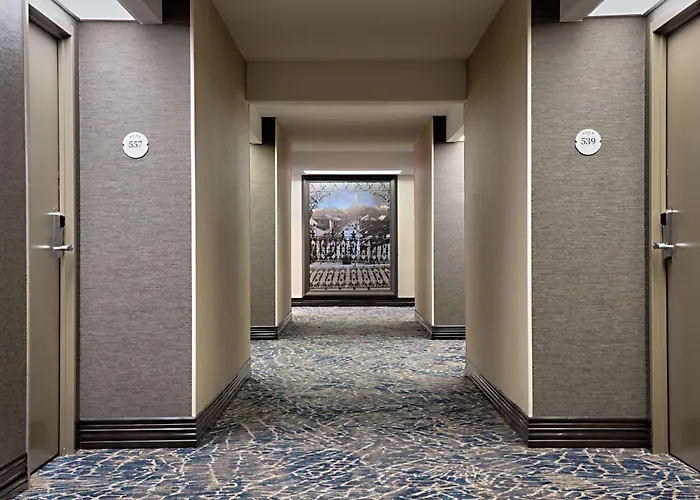 Hilton New Orleans Airport Hotel Kenner